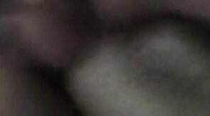 getting bred by daddy