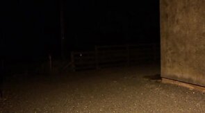 sissy schoolgirl cathy goes outside