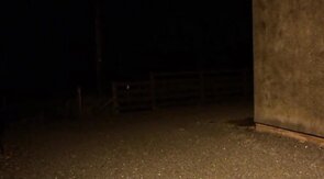 sissy schoolgirl cathy goes outside