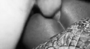 Hung White Jock Breeds Black Jock