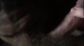 Black Bitch Sucks Verbal White Cock