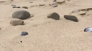 Nudist beach whiteford sands part 2