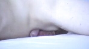 Bed humping cumming