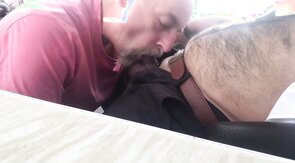 Dad sucking hairy cub