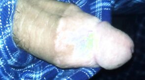 big fat plum headed cock snakes its way out of pajama pants