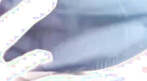 Danish Boys - Sex med Mads