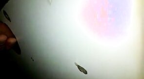 Glory hole cock sucking with cum swallow..