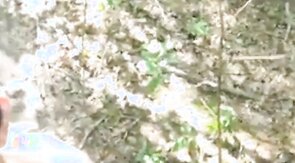 Pipe en foret avec Stephane