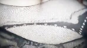 Bear CD bttm gets bred by top bear