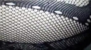 Bear CD bttm gets bred by top bear