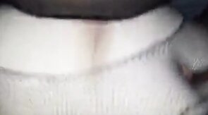 Bear CD bttm gets bred by top bear