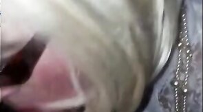 Herrenschwanz lutschen - sucking masters cock