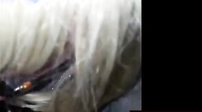 Herrenschwanz lutschen - sucking masters cock