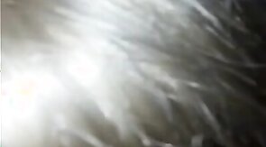 Herrenschwanz lutschen - sucking masters cock