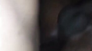 Wet Black Bussy Bareback Fuck