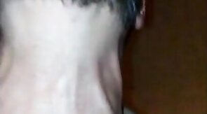 Hello KC!! Dane,  Viking & a Ginger Cub