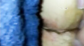 Hello KC!! Dane,  Viking & a Ginger Cub