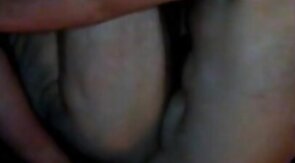 Hello KC!! Dane,  Viking & a Ginger Cub