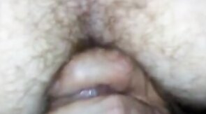 Hello KC!! Dane,  Viking & a Ginger Cub