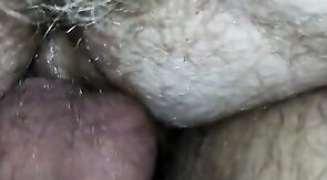 Hello KC!! Dane,  Viking & a Ginger Cub