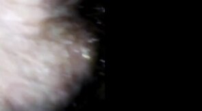 Hello KC!! Dane,  Viking & a Ginger Cub