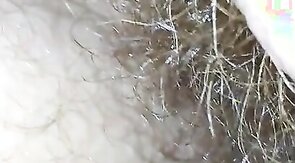 Hello KC!! Dane,  Viking & a Ginger Cub