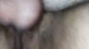 Hello KC!! Dane,  Viking & a Ginger Cub