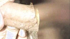 Gloryhole blowjob CIM