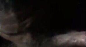 Black Bitch Sucks Verbal White Cock