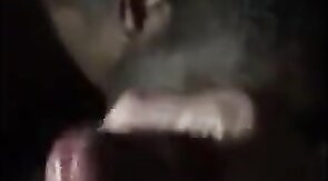 Black Bitch Sucks Verbal White Cock