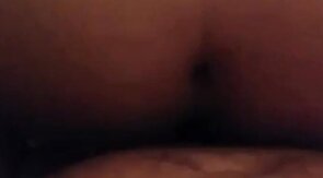 3way with a Texas bear