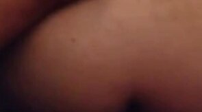 3way with a Texas bear