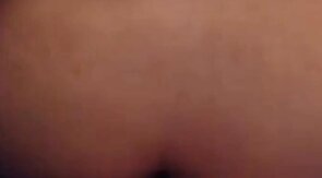 3way with a Texas bear