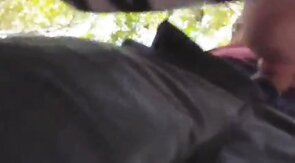 Sucking in the park