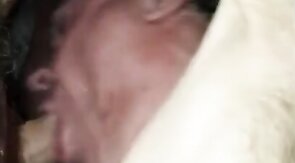 Great cock sucker