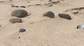 Nudist beach whiteford sands part 2