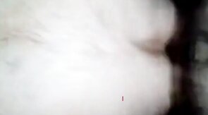 Grandfather teddy bear 63 years old