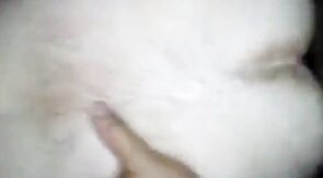 Grandfather teddy bear 63 years old