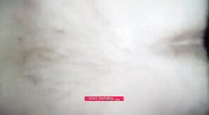 Grandfather teddy bear 63 years old