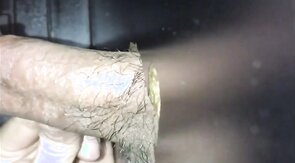 Gloryhole blowjob CIM