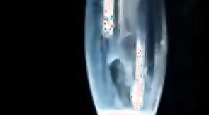 Big Cumshot Compilation