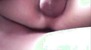 O pinto e o amigo dando trato no cliente