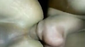 Pau para comecar a ser passivo