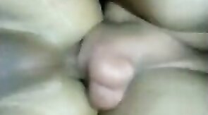 Pau para comecar a ser passivo