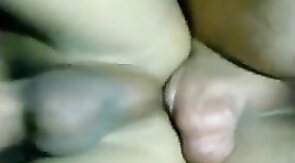 Pau para comecar a ser passivo