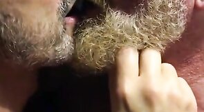 Hairy bears passionate kissing