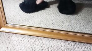 Hard Dick In Pantyhose Stockings