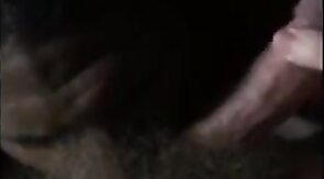 Black Bitch Sucks Verbal White Cock