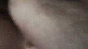 getting bred by daddy