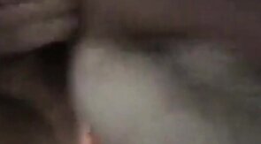 getting bred by daddy